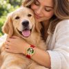 reloj perro golden modelo 2