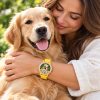reloj perro golden modelo 4
