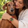 reloj perro vizsla modelo 2