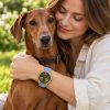 reloj perro vizsla modelo 6