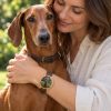 reloj perro vizsla modelo 9